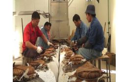 TG500酒壇灌裝清洗機