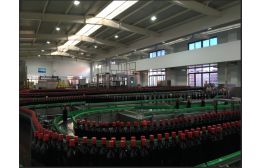 【專業(yè)酒水類流水線供應(yīng)商】供應(yīng)易拉罐灌裝機(jī)